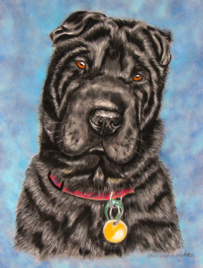 Tia Shar Pei Dog Painting Painting by Michelle Wrighton