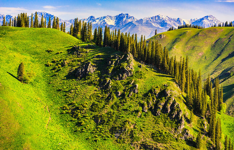 Tian Shan Mountain, Xinjiang China Photograph by Feng Wei Photography