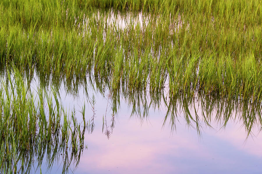 Tidal Marsh Reflections Photograph by Drew Castelhano