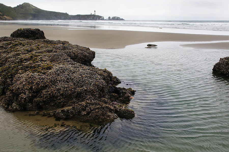 Tide Pool and Yaquina Head Lighthouse Photograph by Mick Anderson