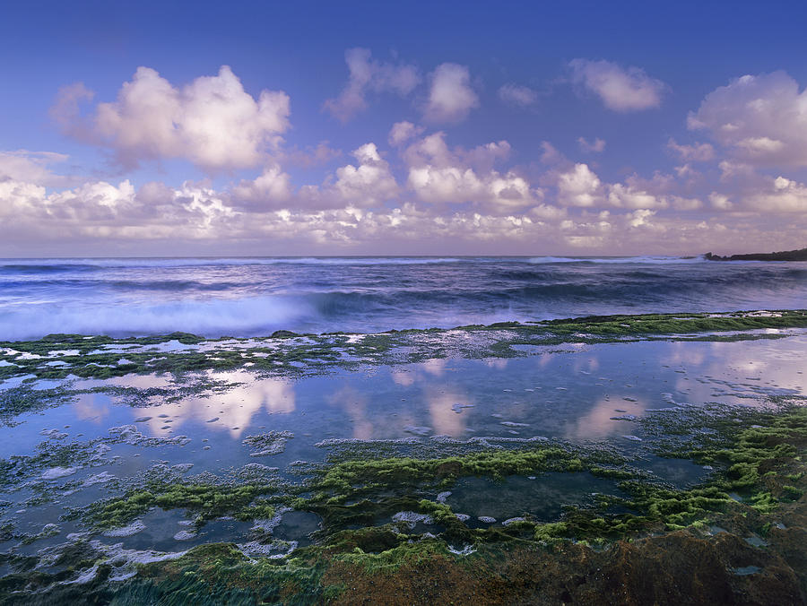 Tidepools And Waves At Hookipa Beach Photograph by Tim Fitzharris