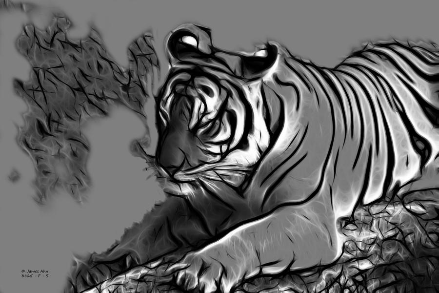 Tiger -3825 - Greyscale Digital Art by James Ahn