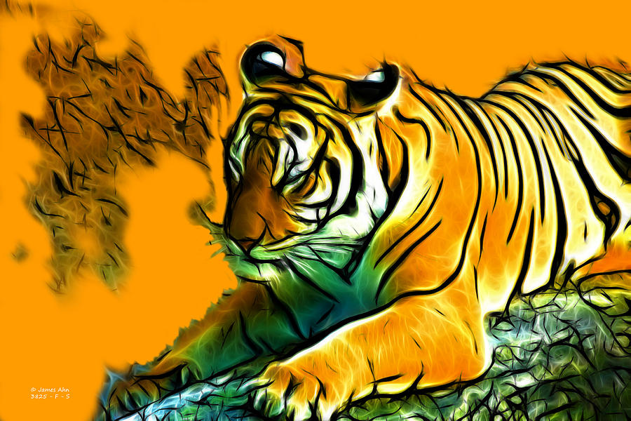 Tiger - 3825 - Orange Digital Art by James Ahn