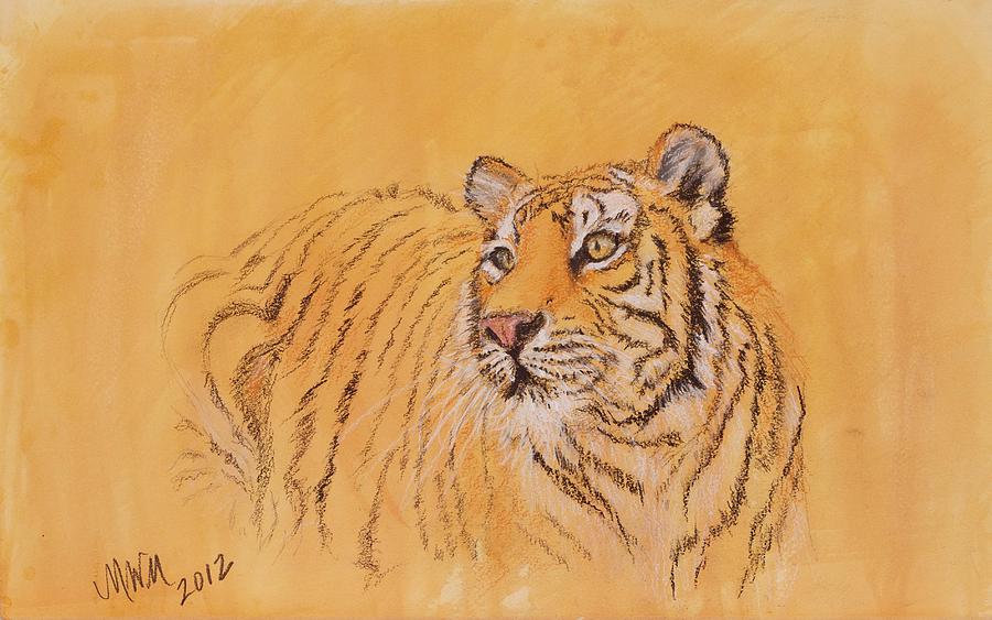 Tiger Alert by Michelle Wolff Tiger Alert by Michelle Wolff