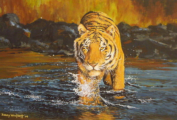 Tiger Painting by Barry Westcott - Fine Art America