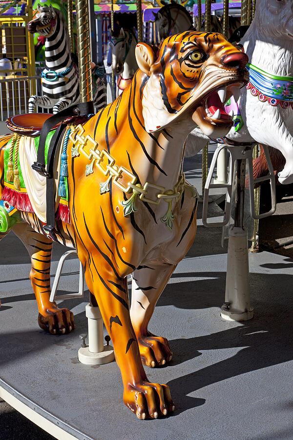 Animal Photograph - Tiger carousel ride by Garry Gay