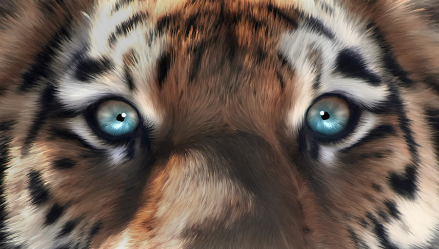 Download Tiger Eyes Digital Art by Julie L Hoddinott