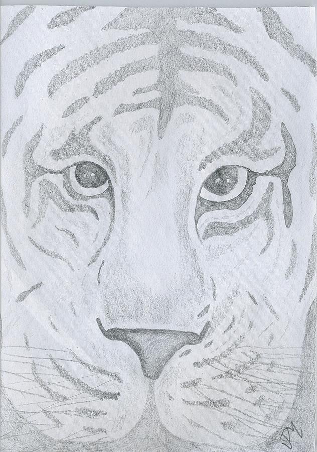 Tiger Eyes Drawing by Justin Murdock - Fine Art America