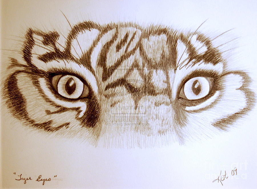 tiger eye drawing