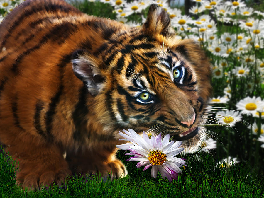 Tiger Digital Art - Tiger Flowers by Julie L Hoddinott