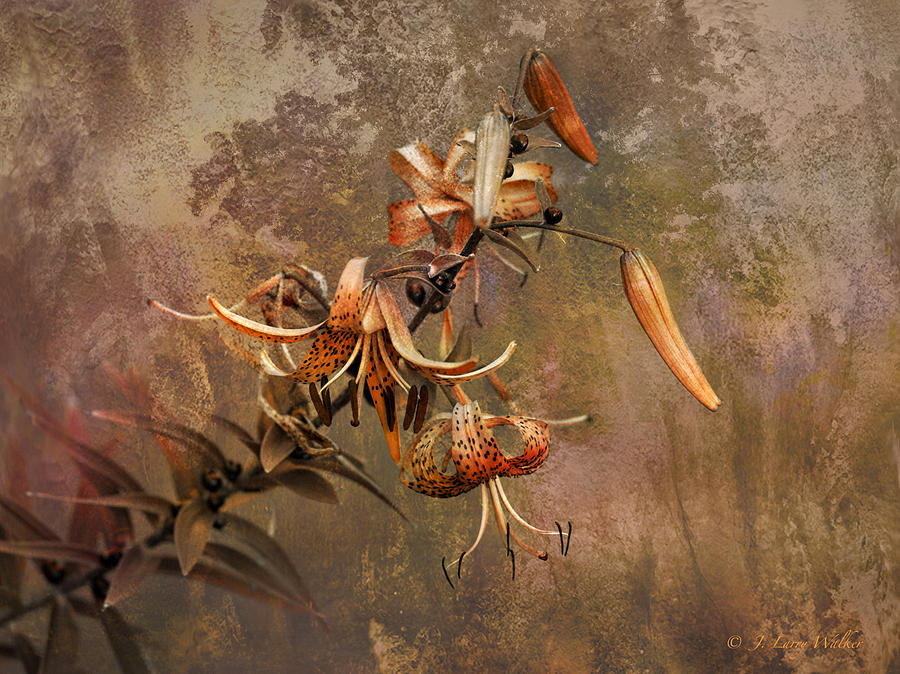 Tiger Lily Abstract Digital Art by J Larry Walker