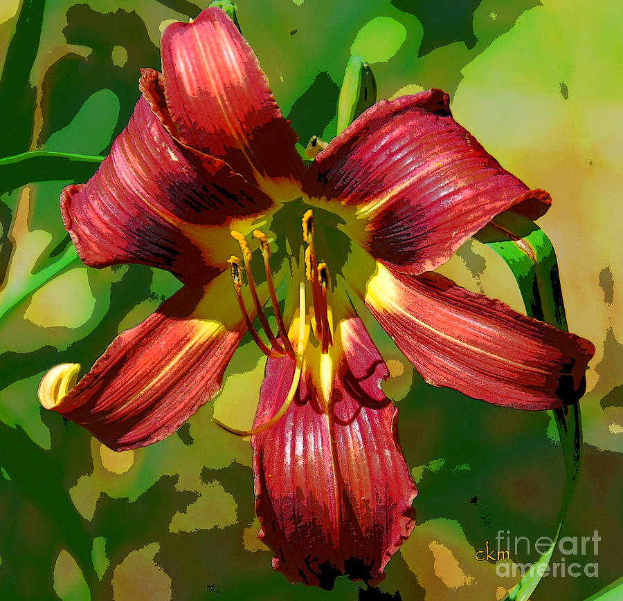 Nature Photograph - Tiger Lily by Cindy Manero