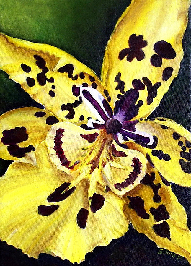 Tiger Orchid Painting by Silvia Philippsohn