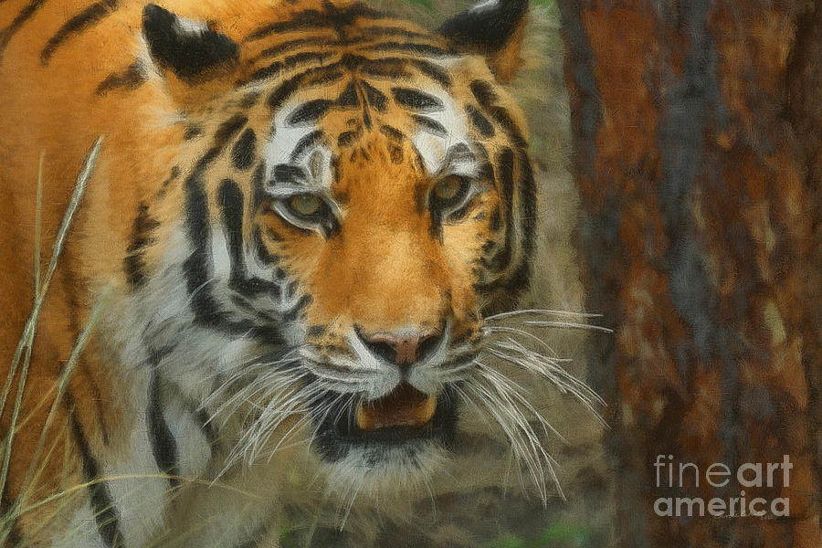 Tiger Digital Art - Tiger Painterly 20x30 by Ernest Echols
