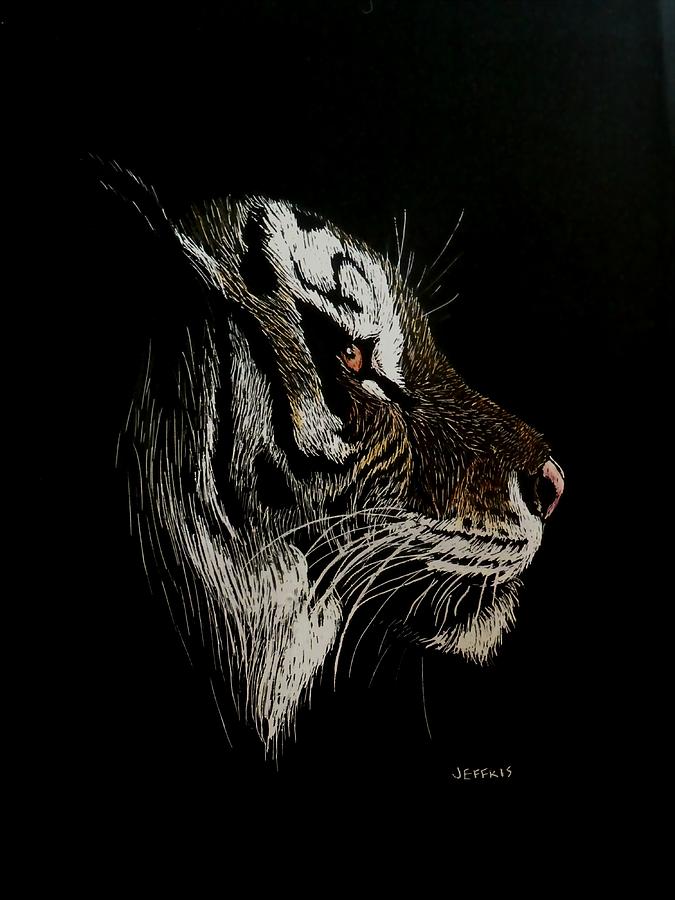 Jungle Drawing - Tiger Profile by Jennifer Jeffris