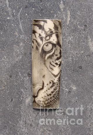 Wildlife Photograph - Tiger scrimshaw by Paul Holbrecht