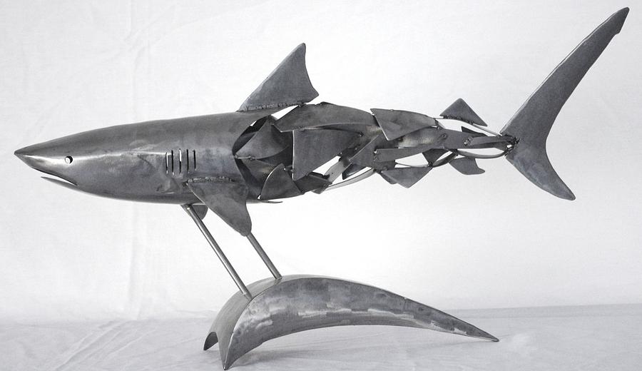 Tiger Shark Sculpture By Stuart Peterman