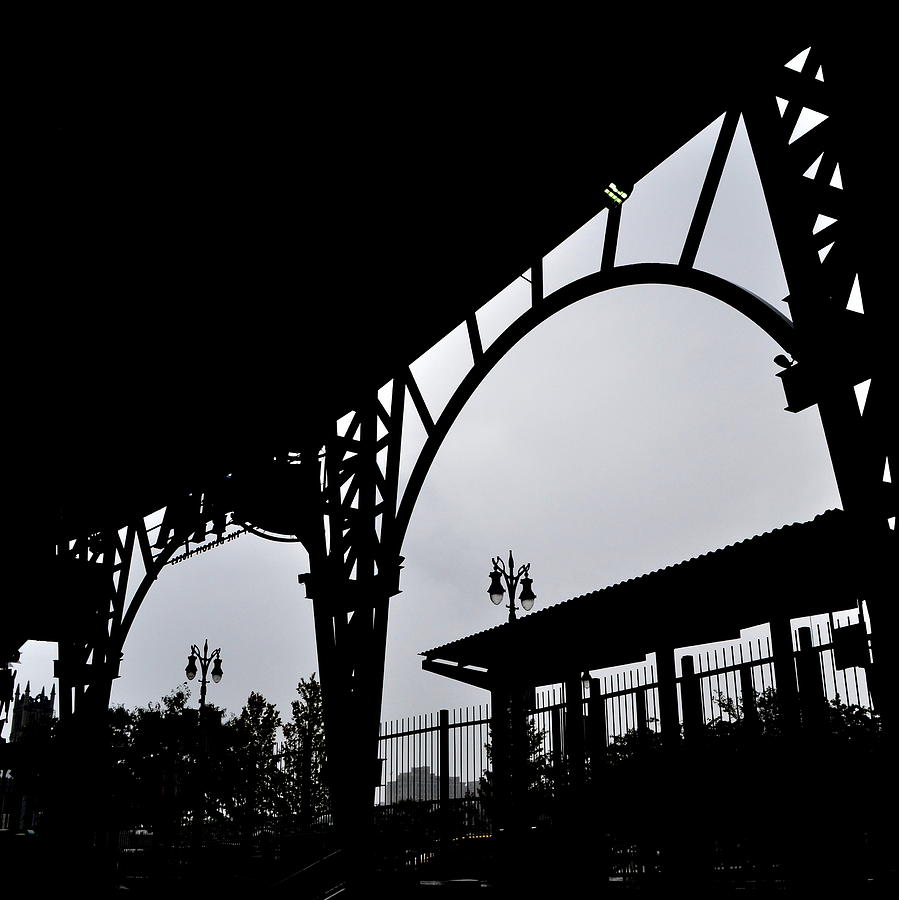 Tiger Stadium Silhouette Photograph by Michelle Calkins