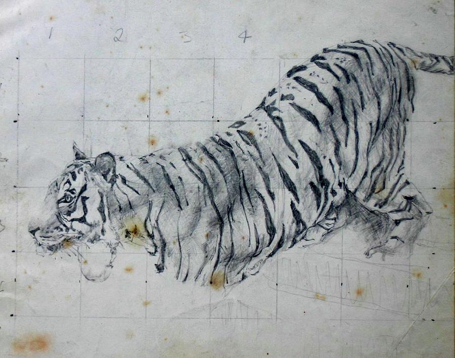 Tiger study Painting by Tom Smith