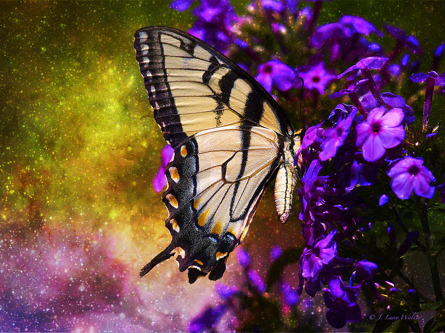 Tiger Swallowtail Feeding In Outer Space Digital Art by J Larry Walker