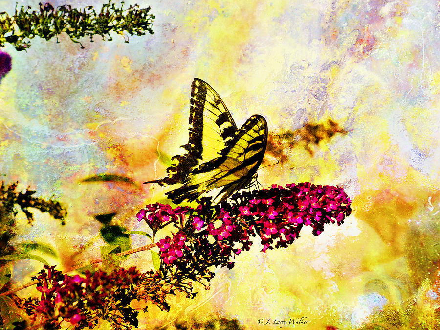 Tiger Swallowtail Feeding Digital Art by J Larry Walker