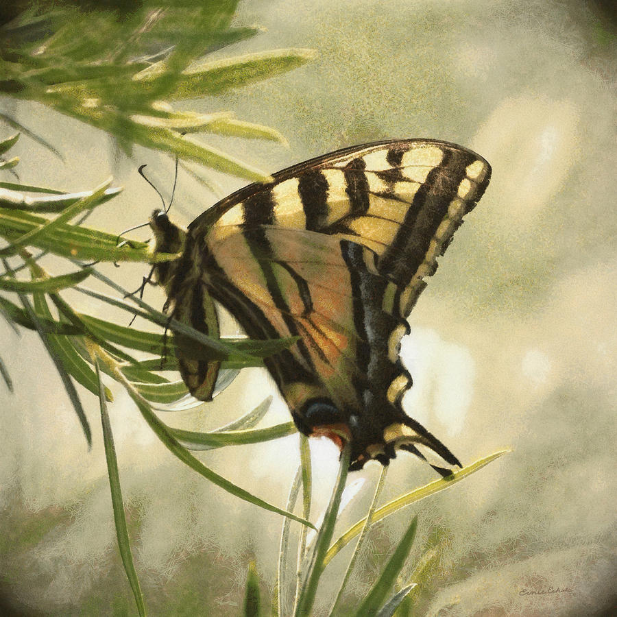 Flower Digital Art - Tiger Swallowtail Painterly by Ernest Echols