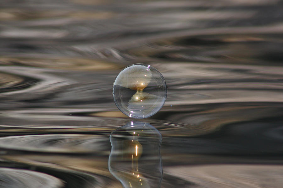 Tiger Water Bubble Photograph by Cathie Douglas