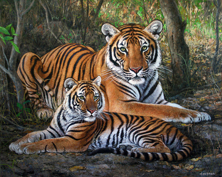 Tigress And Cub by Gabriel Hermida