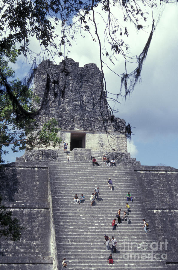 Tikal Temple Climbers Guatemala Photograph by John  Mitchell