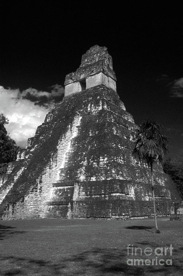 TIKAL TEMPLE Guatemala Photograph by John  Mitchell