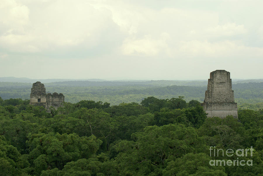 Tikal Temples Guatemala Photograph by John  Mitchell