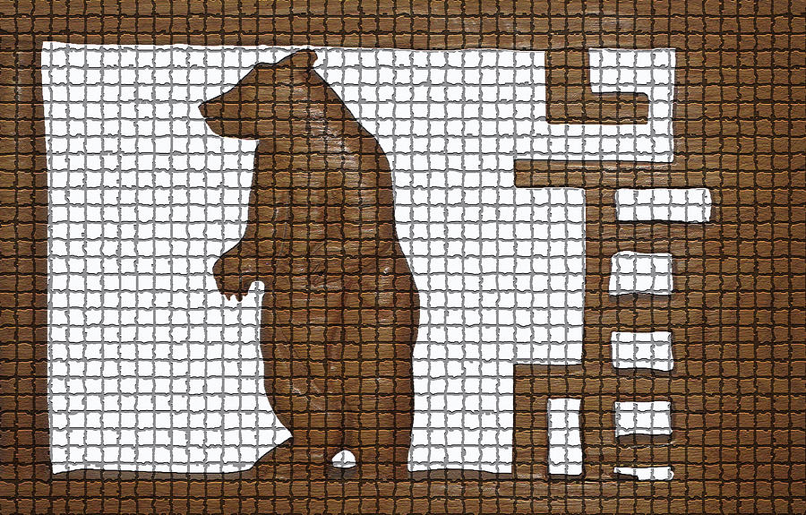 Tiled Bear Photograph by Robert Margetts