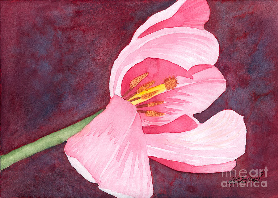Tilted Pink Tulip Watecolor Painting by Kristen Fox