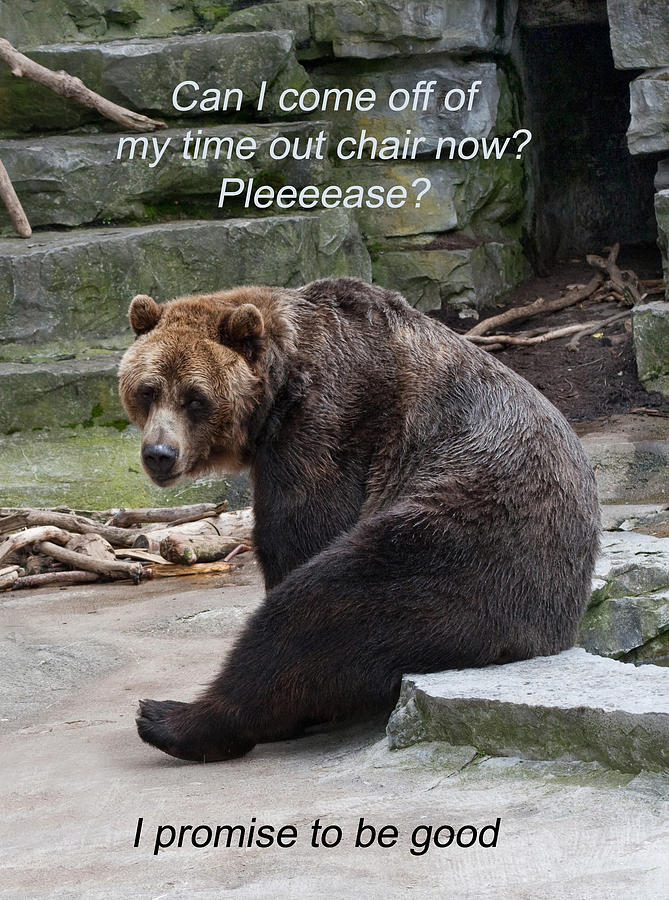Time Out Bear Photograph by Cindy Haggerty