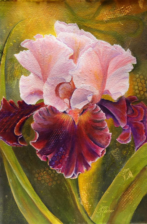 Iris Painting - Timeless Beauty by Jean Rascher