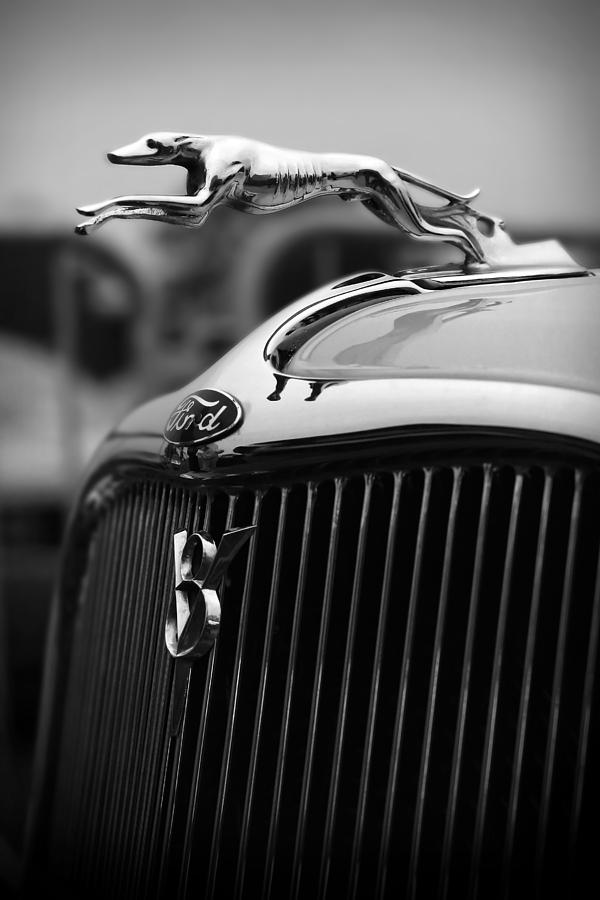 Unique Photograph - Timmis-Ford V8 Greyhound Hood Ornament by Gordon Dean II