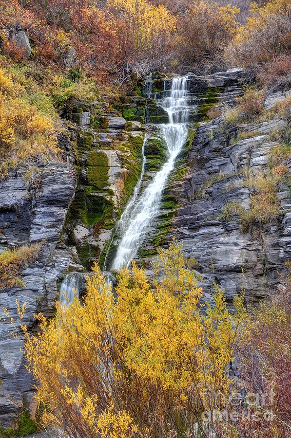 Timpanogos Waterfall in the Fall - Utah Photograph by Gary Whitton