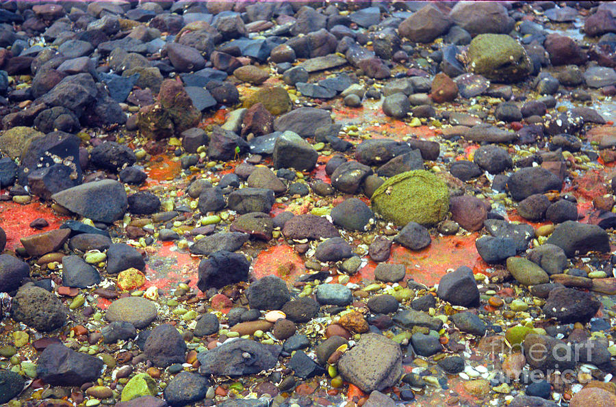 Tinopoi Beach Rocks Photograph by Mark Dodd