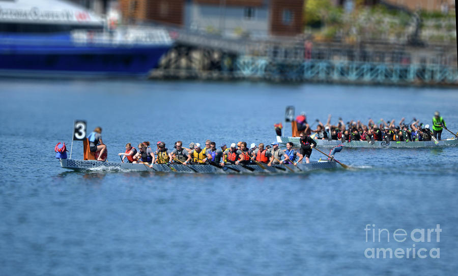 Dragon Boat Races Photograph - Tiny Dragons by Traci Cottingham