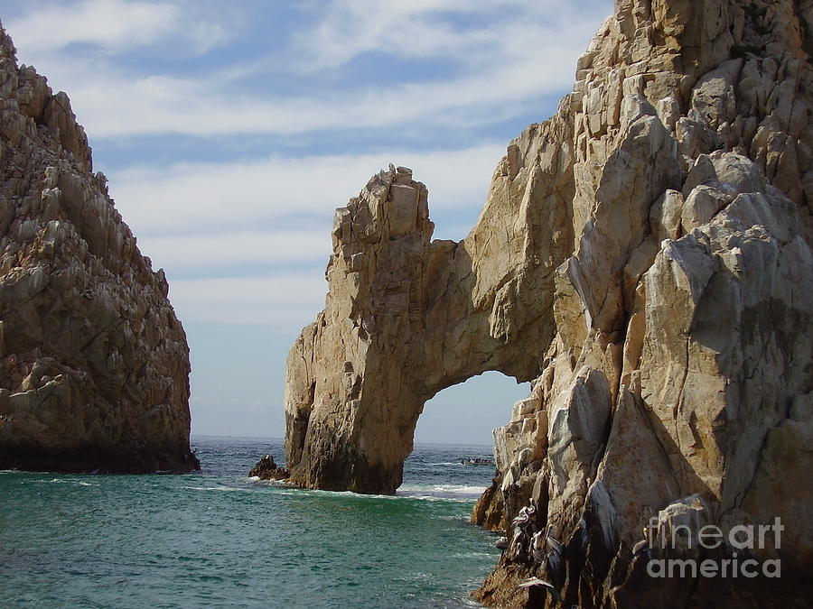 Tip of Baha Photograph by Patricia Kertson - Fine Art America