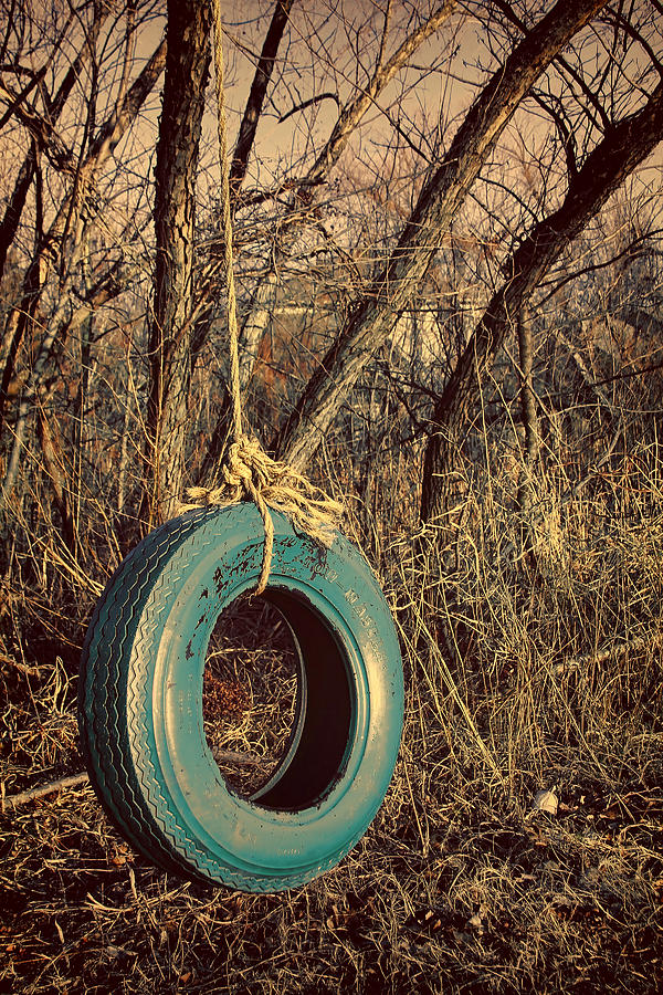 Tire Swing Photograph by Tony Grider