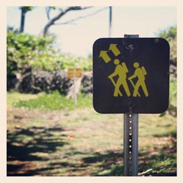 Summer Photograph - To Mordor!!! #hike #nature #maui #sign by Dilaxo Gertron