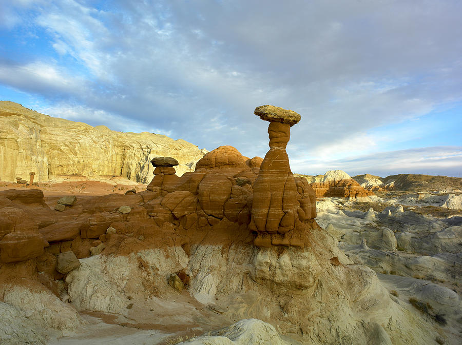Toadstool Caprocks Grand Staircase Photograph by Tim Fitzharris