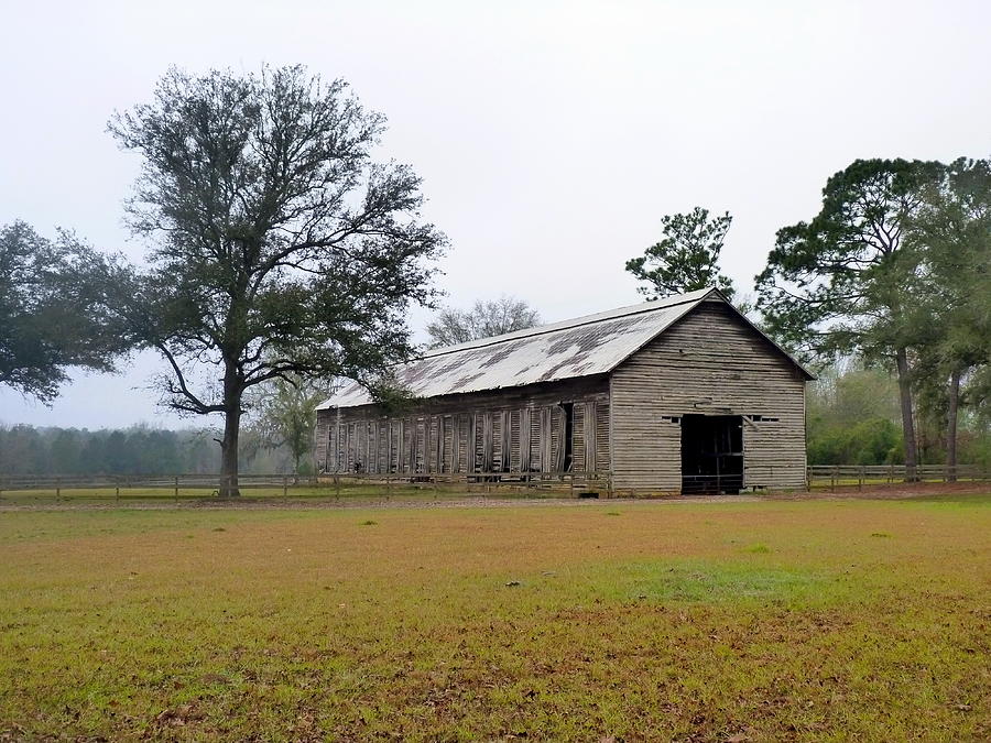 Tobacco Barn Photograph by Carla Parris