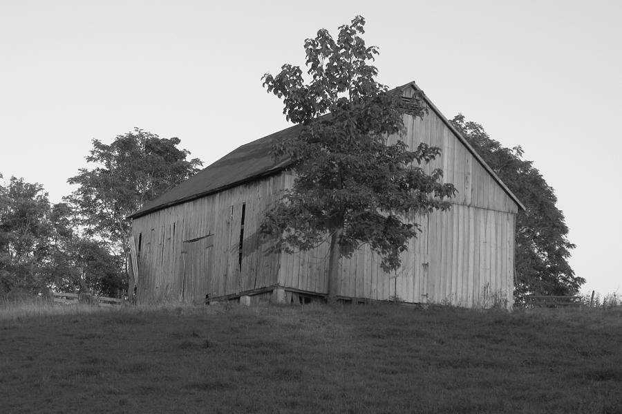 Black And White Photograph - Tobacco Barn II in black and white by JD Grimes