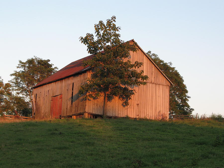 Barn Photograph - Tobacco Barn II in color by JD Grimes