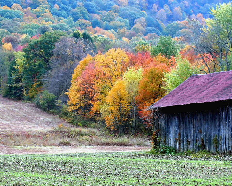 Tobacco Barn In Autumn Photograph by Smilin Eyes Treasures