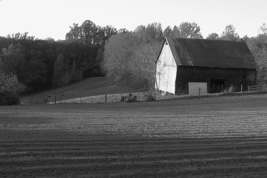 Tobacco Barn In Black And White Photograph By Jd Grimes