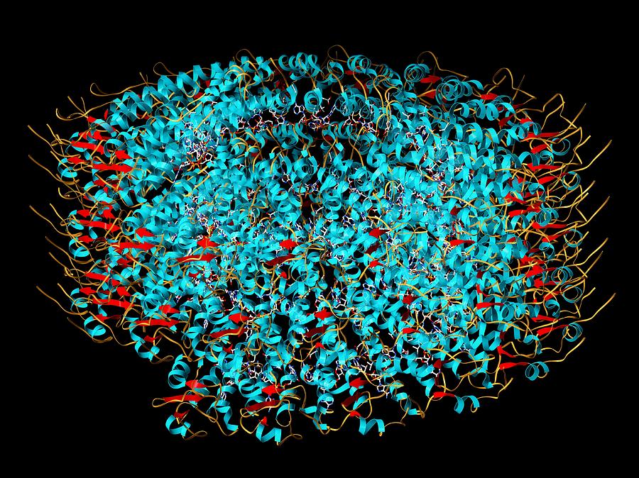 Tobacco Photograph - Tobacco Mosaic Virus, Molecular Model by Laguna Design