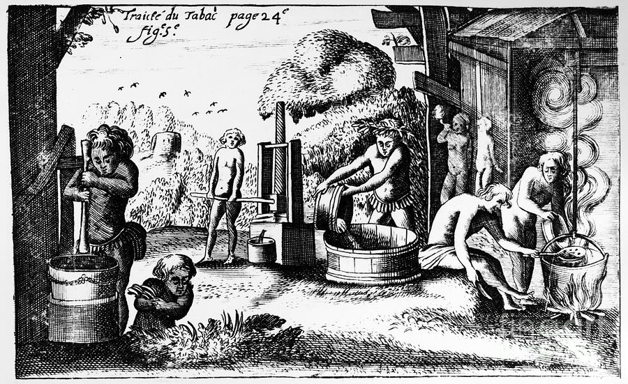 Tobacco Processing, 1626 Photograph by Granger